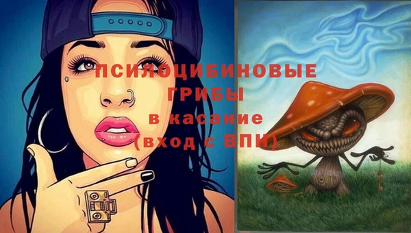 спайс Алексин
