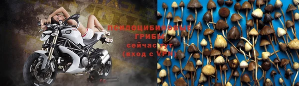 a pvp Алексеевка
