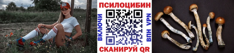 маркетплейс клад  ссылка на мегу ссылка  Ардатов  Псилоцибиновые грибы прущие грибы 